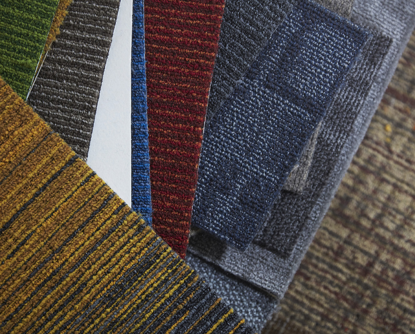 太女她又被求親啦